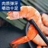 鮮享純【青島蝦】超大蝦新鮮大蝦冷凍鮮活青島大蝦批發(fā)整箱基圍蝦青蝦 15-17厘米鮮蝦速凍 3斤(凈重) 曬單實(shí)拍圖