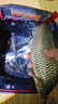 龍王恨魚(yú)餌藍鯽青春版六蟲(chóng)腥香餌料黑坑野釣鯽魚(yú)鯉魚(yú)草魚(yú)鳊魚(yú)餌料魚(yú)食料 藍鯽青春版-六蟲(chóng)腥香(300g)*2 曬單實(shí)拍圖