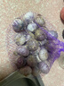 玉燕妃云南正宗新鮮紫皮獨頭大蒜獨蒜干蒜 農家露天自種助農生鮮蔬菜 2.5-3cm紫皮獨頭干蒜凈重 2斤 曬單實(shí)拍圖