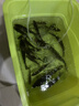 SOBO松寶SOBO氧氣泵低音魚(yú)缸增氧泵氣量大養魚(yú)增氧機魚(yú)池家用220v電壓 【雙孔】不銹鋼雙孔12瓦+全套氣石套餐 曬單實(shí)拍圖