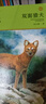 【新華書(shū)店】沈石溪動(dòng)物小說(shuō)全集36/40冊全套品藏書(shū)系 8-10-12-15歲兒童文學(xué)三四五六年級中小學(xué)生課外閱讀書(shū)籍 狼王夢(mèng) 斑羚飛渡 第七條獵狗 【淺綠特輯】沈石溪動(dòng)物小說(shuō)6冊 曬單實(shí)拍圖