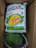 新鮮玉芒大青皮芒果應季生鮮新鮮水果 帶箱3斤300g+ 曬單實(shí)拍圖