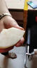 南步四川蒼溪大雪梨 廣元特產(chǎn)黃金梨稱(chēng)坨梨施家梨黃皮梨麻皮新鮮水果 7斤 精選中大果【6枚裝】 曬單實(shí)拍圖