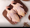 京覓 飛翔鴿系列乳鴿凈重900g（300g*3只）京東養殖基地乳鴿煲湯食材 曬單實(shí)拍圖
