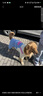 MIKI PAD狗狗衣服中大型犬秋冬款柴犬金毛邊牧拉布拉多狗狗四腳衣大狗衣服 多巴胺撞色背帶褲 7XL背長(cháng)68cm（參考體重65-75斤） 曬單實(shí)拍圖