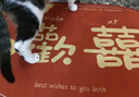 仕彩 結(jié)婚喜字腳墊入戶(hù)防滑地門(mén)墊婚房布置裝飾地毯婚慶用品大全歡喜 曬單實(shí)拍圖