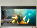 海信電視E8Q 85英寸 信芯H6 U+MiniLED  黑曜屏 首發(fā)330Hz高刷 帝瓦雷音響 E8NPRO升級 國家補貼85E8Q 曬單實(shí)拍圖