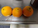 京鮮生 四川愛(ài)媛38號果凍橙 凈重4.5-5斤 單果170g+ 源頭直發(fā)包郵 曬單實(shí)拍圖
