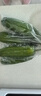 京地達山東水果小黃瓜 凈重5斤 單果80g+ 脆嫩生吃新鮮蔬菜源頭直發(fā)包郵 曬單實(shí)拍圖
