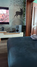 索尼（SONY）HT-S400 2.1 聲道 杜比音效 大功率獨立低音炮 家庭影院 回音壁 Soundbar S350升級款 電視音響  曬單實(shí)拍圖