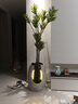 點(diǎn)道（DIANDAO）創(chuàng  )意落地現代北歐流水噴泉客廳家居裝飾沙發(fā)旁邊玄關(guān)擺件辦公室 水盆景+仿真植物長(cháng)40寬40高180CM 曬單實(shí)拍圖