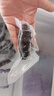 久年大連即食海參1斤8-12只遼刺參京東自營 固形物超85% 生鮮海鮮盒裝 曬單實(shí)拍圖