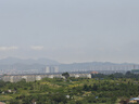 安速日本進(jìn)口 殺蠅餌劑2個(gè)裝呋蟲(chóng)胺滅蠅藥小飛蟲(chóng)克星果蠅誘捕器 曬單實(shí)拍圖