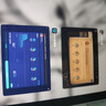 Apple/蘋果 iPad11英寸 A16芯片2025年款 平板電腦 (256GB WLAN版/學(xué)習(xí)辦公娛樂)銀色 曬單實(shí)拍圖