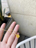 老鳳祥黃金項鏈女士款足金蓮花純金吊墜掛墜七夕情人節禮物送女友老婆 【今/次日達】足金好事蓮蓮吊墜約0.3g*贈銀鏈 曬單實(shí)拍圖