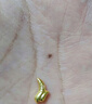 周大福 福字龍牙小金豆黃金投資金(工費0)約1g IF1911 曬單實(shí)拍圖