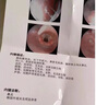 蒼耳子鼻炎專用特藥100%根過敏性鼻竇炎治鼻塞通鼻神器蒼耳子油中藥噴劑 1盒【一噴通鼻】特效噴劑 曬單實拍圖
