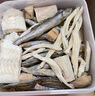 網(wǎng)易嚴選寵物凍干零食金槍魚(yú)三文魚(yú)多春魚(yú)鱈魚(yú)凍干桶 海洋混拼口味450g 曬單實(shí)拍圖