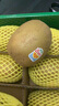 佳沛（zespri）新西蘭陽光金果6個裝巨大果單果144-175g水果獼猴桃源頭直發(fā) 曬單實拍圖