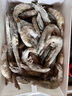鮮享純【青島蝦】超大蝦新鮮大蝦冷凍鮮活青島大蝦批發(fā)整箱基圍蝦青蝦 15-17厘米鮮蝦速凍 3斤(凈重) 曬單實(shí)拍圖
