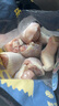 鮮京采琵琶腿 4斤 冷凍雞肉 雞大腿炸雞腿烤雞腿鹵雞腿 曬單實(shí)拍圖