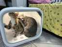 小佩智能寵物智能烘干箱-PRO款 全自動(dòng)吹風(fēng)貓咪狗狗烘干機吹毛多貓  曬單實(shí)拍圖