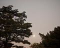 一點(diǎn)紅阿波浮漂套裝磯釣浮標(biāo)釣組海釣遠(yuǎn)投中通阿波漂配件盒啊波水中線組 阿波套裝【3套】紅色 1.0 曬單實(shí)拍圖