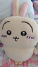名創(chuàng)優(yōu)品（MINISO）chiikawa大號站姿公仔毛絨玩偶玩具生日禮物教師節(jié)禮物女 烏薩奇 曬單實拍圖