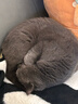 SIKI私激避孕套玻尿酸003超薄黑科技變徑更貼合金國潮10只裝 曬單實(shí)拍圖