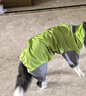 狗狗專用連帽雨衣服沖鋒衣中大型犬狗全包四腳防水金毛寵物 熒光綠 2225-30斤 曬單實(shí)拍圖