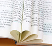全套3冊 愛(ài)的教育小英雄雨來(lái)童年書(shū)高爾基原著(zhù)完整版快樂(lè )讀書(shū)吧推薦小學(xué)生六年級上冊課外閱讀書(shū)必讀正版書(shū)目小學(xué)老師經(jīng)典書(shū)籍魯濱遜漂流記六年級下冊 【全3冊】六年級上冊必讀正版(京東圖書(shū)聯(lián)合定制款) 曬單實(shí)拍圖