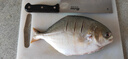 環(huán)球水產(chǎn)冷凍南海金鯧魚(yú)2斤/2條 生鮮魚(yú)類 火鍋 深海魚(yú) 海鮮水產(chǎn) 家庭聚餐 曬單實(shí)拍圖
