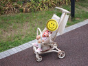 普洛可（PLAYKIDS）口袋推車1-3歲遛娃神器輕便兒童旅行嬰兒推車 A5MAX天使之翼 曬單實(shí)拍圖