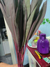 富貴竹水養花卉轉運竹水培植物盆栽觀(guān)音四季室內凈化空氣 5枝-65cm鴻運當頭 標準 曬單實(shí)拍圖
