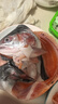 百味殿新鮮新疆三文魚(yú) 生鮮刺身生魚(yú)片海鮮水產(chǎn)冷凍冰鮮中段三文魚(yú)去皮 整條新疆三文魚(yú) 2.25kg -2.5kg 曬單實(shí)拍圖