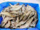PHUKEY SEA大號厄瓜多爾凍南美白對蝦 只只分離 海鮮水產(chǎn) 3斤 (31-40只/KG) 曬單實(shí)拍圖