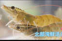 鮮京采【超28天全額退】 28天鮮凍蝦 2斤裝 40-60只 源頭直發(fā) 北海大蝦  曬單實(shí)拍圖
