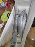 七條船舟山帶魚(yú)新鮮冷凍整條小眼帶魚(yú)刀魚(yú)海鮮水產(chǎn)野生海釣帶魚(yú)大號油帶 3斤——中帶（4條裝） 曬單實(shí)拍圖