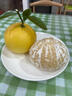 南步福建平和黃金葡萄柚 爆汁黃金柚子蜜柚榨汁橙西柚子新鮮酸甜水果 5斤 精選中大果【單果300g+】 曬單實(shí)拍圖