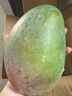 趣嘗鮮 攀枝花凱特芒2粒裝 大果 單果600g+  源頭直發(fā) 一件包郵 曬單實(shí)拍圖