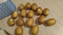 佳沛奇異果新西蘭進(jìn)口陽(yáng)光金果【JD順豐-送貨上門(mén)】黃心獼猴桃 【禮盒】22枚巨大果單果120-135g 曬單實(shí)拍圖