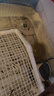 活體飼料魚(yú)麥穗魚(yú)小魚(yú)苗喂龍魚(yú)羅漢鱷龜開(kāi)口飼料魚(yú)淡水魚(yú)活魚(yú)包活 飼料魚(yú)2-4厘米100條送10%防損 曬單實(shí)拍圖
