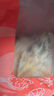 萬景 北海淡干手撕魷魚干 凈重250g/袋(30-35只) 干貨 源頭直發(fā) 曬單實拍圖