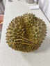沭鮮園泰國進(jìn)口金枕榴蓮新鮮水果帶殼鮮果軟糯香甜【多地次日達】 【A級精品3-4斤單果】吃貨優(yōu)選 曬單實(shí)拍圖