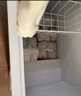 雪花（SNOWFLK）冰柜商用大容量冷柜冷藏冷凍兩用雙開(kāi)門(mén)臥式冰箱商超海鮮低溫速凍柜展示柜 799單溫款丨銅管數顯丨1.73m加寬加高 曬單實(shí)拍圖