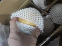 京地達山東秋月梨凈重5斤單果400g+新鮮生鮮水果 脆甜梨子 源頭直發(fā)包郵 曬單實(shí)拍圖