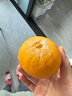京地達四川愛(ài)媛38號果凍橙水果凈重5斤果徑70mm起新鮮源頭直發(fā)包郵 曬單實(shí)拍圖