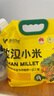 吾谷為伴敖漢小米5斤 新米赤峰小米粥黃小米 金苗k1蒸飯更軟糯 曬單實(shí)拍圖