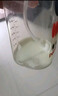 喜寶（HiPP）德國珍寶版益生菌DHA高鈣兒童學齡前奶粉1+段（1-6歲）600g/盒 曬單實拍圖