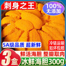柒島【同款低價(jià)】大連新鮮海膽鮮活現剝海膽肉刺身生吃馬糞海膽海膽黃 頂配 海膽凈重【200g】120-130塊 曬單實(shí)拍圖